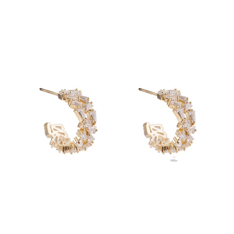 Earrings Arch