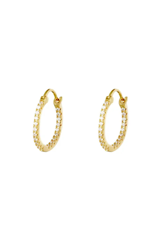 Earrings Hoops