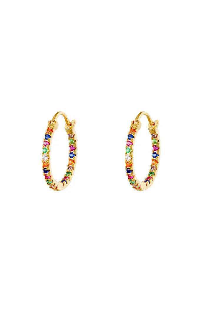 Earrings Hoops